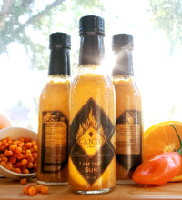 Load image into Gallery viewer, I Am the Sun